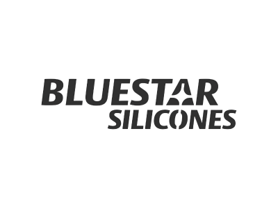 Bluestar Silicones